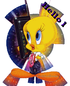 Salut tout le monde !