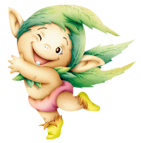 Bonjour tout le monde !