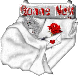 Bonne nuit !