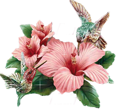 Cadeau pour vous mes amies