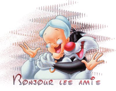 Bonsoir les amis