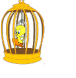 Z� cru voir un rominet !