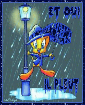 Sale temps pour  un titi !