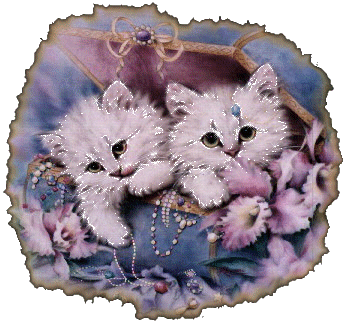 Mon coffret tendresse pour vous