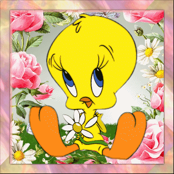 Ze t'aime, un peu, beaucoup ....