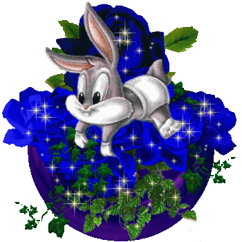 N'oublie pas mon ptit com, merci !