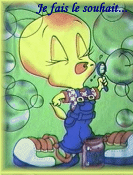 Fais aussi un voeu !